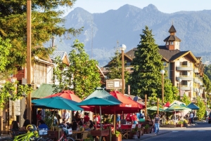 PUCON: TOUR POR LA ZONA CON TERMAS