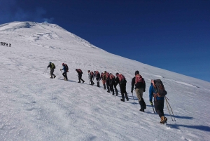 Pucón: Villarrica Volcano Summit Hike with Transfer