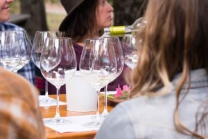 Pucón: Vinprøve ved foden af Villarrica-vulkanen