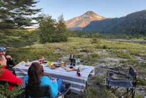 Pucón: wijnproeverij aan de voet van de Villarrica-vulkaan