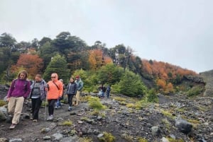 Pucón: wijnproeverij aan de voet van de Villarrica-vulkaan