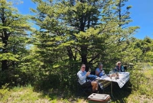 Pucón: wijnproeverij aan de voet van de Villarrica-vulkaan