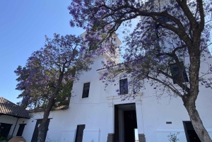 Пуэблито Лос Доминикос, Кусиньо Макуль / Частный трансфер