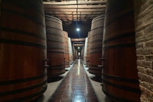 Пуэблито Лос Доминикос, Кусиньо Макуль / Частный трансфер