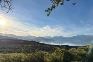 Puerto Guadal: przejażdżka konna szlakiem skamieniałości z lunchem w formie pudełkowej