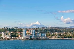 Puerto Montt and Puerto Varas: Panoramic City Tour