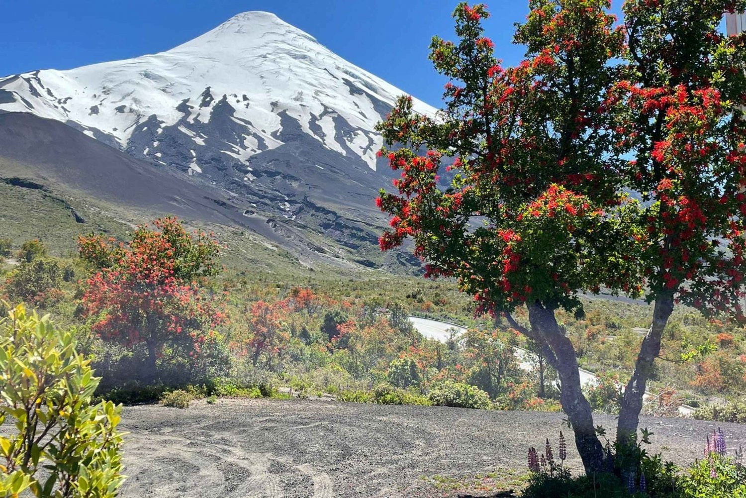 Puerto Montt: Osorno Volcano Tour Shore Tour in Private