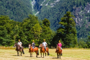 Пуэрто-Монт: однодневная поездка в Пеулла с навигацией