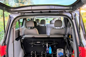 Puerto Montt - Puerto Varas flygplats Engelsk privat transfer