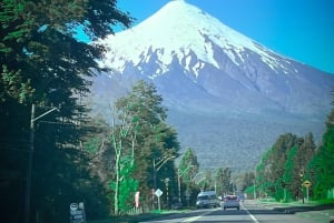 Puerto Montt: Puerto Varas and Petrohué Scenic Half-Day Tour