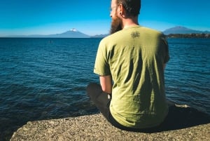 Puerto Montt: Puerto Varas and Petrohué Scenic Half-Day Tour