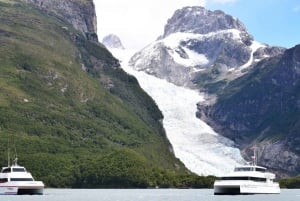 P. Natales : Glaciers Balmaceda et Serrano avec déjeuner et whisky