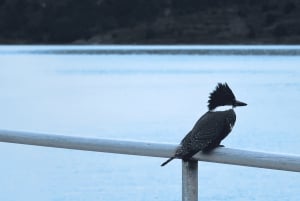 Puerto Natales : navigation vers les glaciers Balmaceda et Serrano