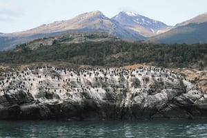 Puerto Natales : navigation vers les glaciers Balmaceda et Serrano