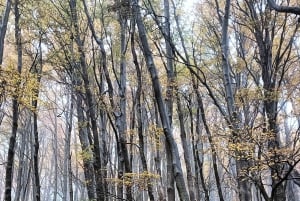 Puerto Natales: uitvalsbasis voor de trektocht naar de torens