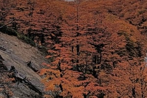 Puerto Natales: uitvalsbasis voor de trektocht naar de torens