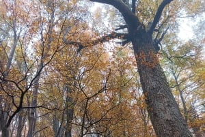 Puerto Natales: uitvalsbasis voor de trektocht naar de torens
