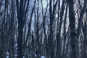 Puerto Natales: uitvalsbasis voor de trektocht naar de torens