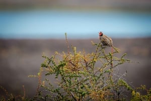 Puerto Natales: uitvalsbasis voor de trektocht naar de torens