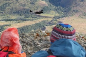Puerto Natales: Caminata de Medio Día al Cerro Benítez con Cóndores