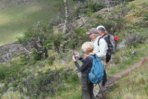 Puerto Natales: Caminata de Medio Día al Cerro Benítez con Cóndores