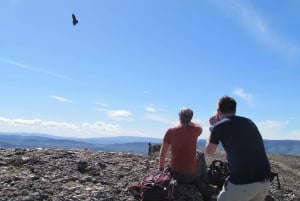 Puerto Natales: Caminata de Medio Día al Cerro Benítez con Cóndores