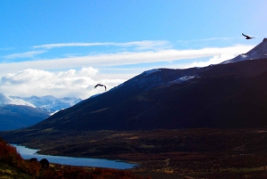 Puerto Natales: Caminata de Medio Día al Cerro Benítez con Cóndores
