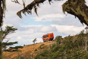 Puerto Natales: Cerro Dorotea 8x8 Tour with Panoramic Views