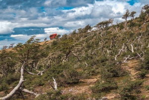 Puerto Natales: Cerro Dorotea 8x8 Tour met panoramisch uitzicht