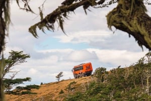 Puerto Natales: Cerro Dorotea 8x8-tur med panoramaudsigt