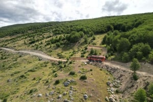 Puerto Natales: Cerro Dorotea 8x8-tur med panoramaudsigt