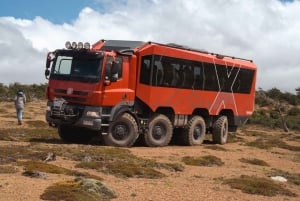 Puerto Natales: Cerro Dorotea 8x8-tur med panoramaudsigt
