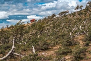 Puerto Natales: Cerro Dorotea 8x8-tur med panoramaudsigt