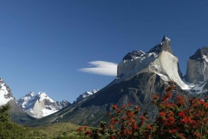 Puerto Natales: Escursione di un giorno intero a Aonikenk e Cuernos Lookout