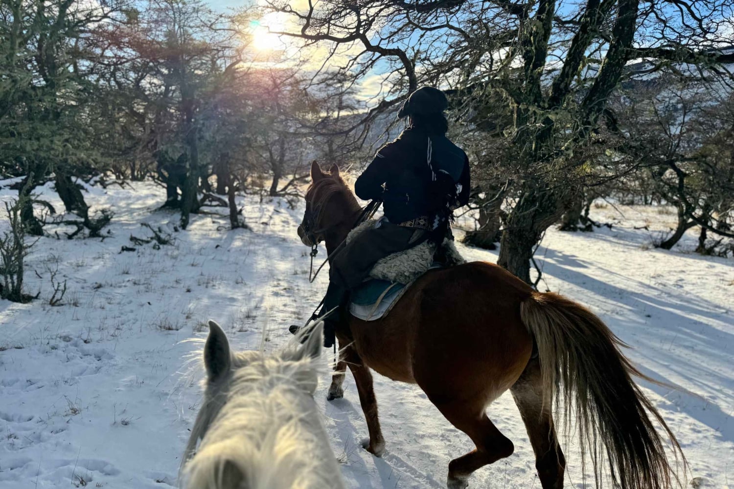 Puerto Natales: Escursione a cavallo di un'intera giornata sulle montagne