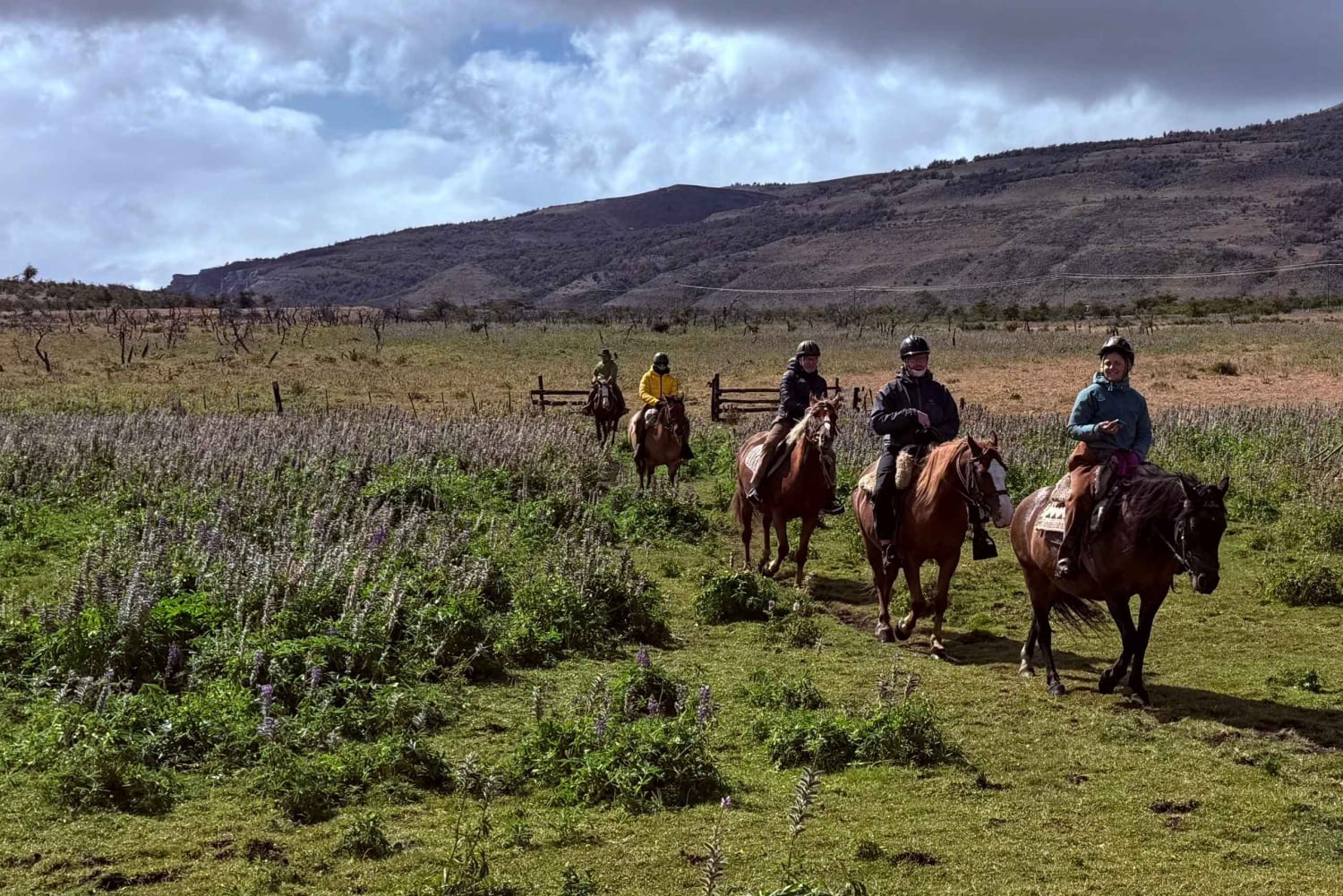 Puerto Natales: Escursione a cavallo di un'intera giornata sulle montagne
