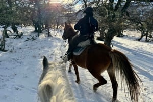 Puerto Natales: Escursione a cavallo di un'intera giornata sulle montagne
