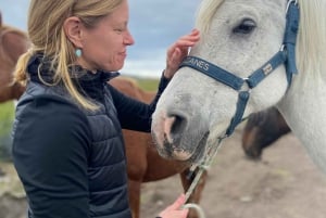 Puerto Natales: Escursione a cavallo di un'intera giornata sulle montagne