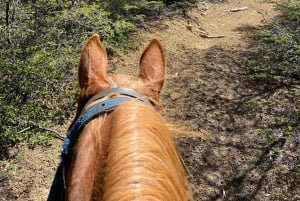 Puerto Natales: Escursione a cavallo di un'intera giornata sulle montagne
