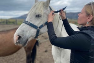 Puerto Natales: Escursione a cavallo di un'intera giornata sulle montagne