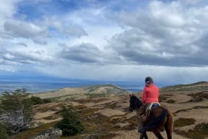 Puerto Natales: Escursione a cavallo di un'intera giornata sulle montagne