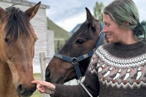 Puerto Natales: Escursione a cavallo di un'intera giornata sulle montagne