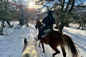 Puerto Natales: Escursione a cavallo di un'intera giornata sulle montagne