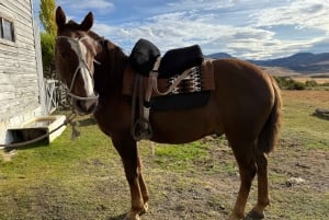 Puerto Natales: Escursione a cavallo di un'intera giornata sulle montagne
