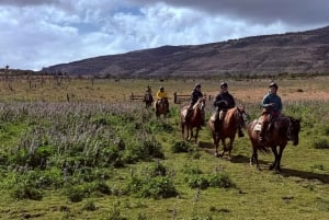 Puerto Natales: Escursione a cavallo di un'intera giornata sulle montagne
