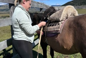 Puerto Natales: Escursione a cavallo di un'intera giornata sulle montagne