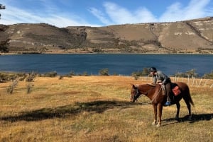 Puerto Natales: Escursione a cavallo di un'intera giornata sulle montagne