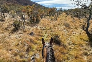 Puerto Natales: Escursione a cavallo di un'intera giornata sulle montagne