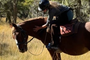 Puerto Natales: Escursione a cavallo di un'intera giornata sulle montagne