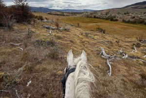 Puerto Natales: Escursione a cavallo di un'intera giornata sulle montagne